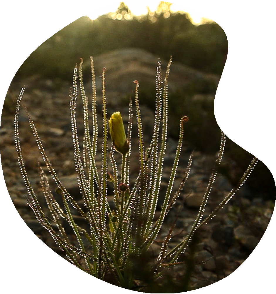 Imagina Creaciones - Productora Audiovisual